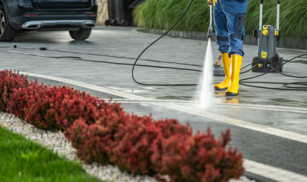 Professional Pressure Washing Services in Bothell, WA